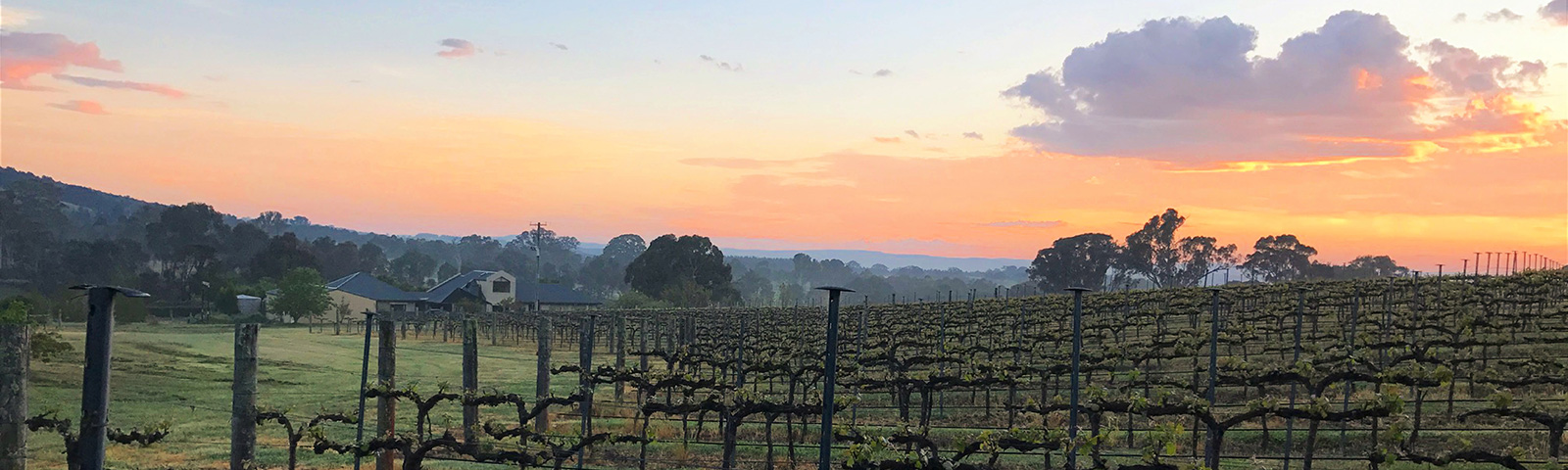 Tallagandra Hill Winery
