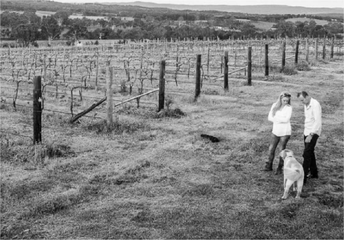 Tallagandra Hill Winery